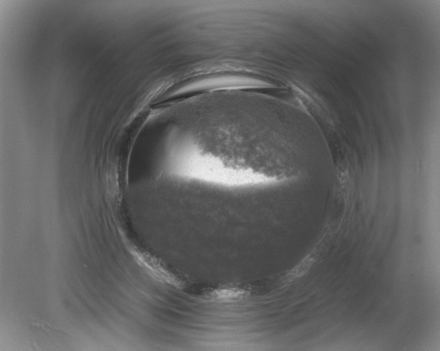 X0000081570158200701221102