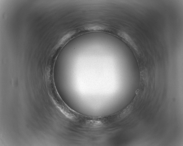 X0000081570159200701221102