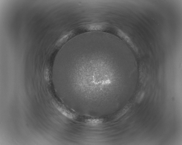 X0000081570161200701221102