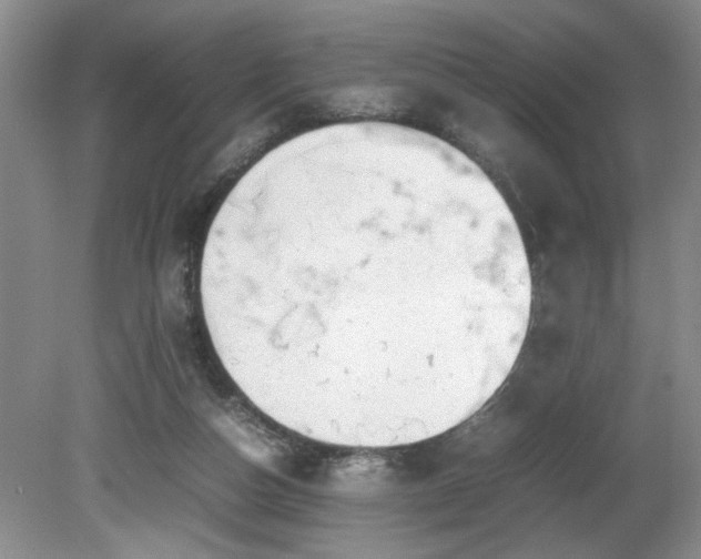 X0000081570162200701221102