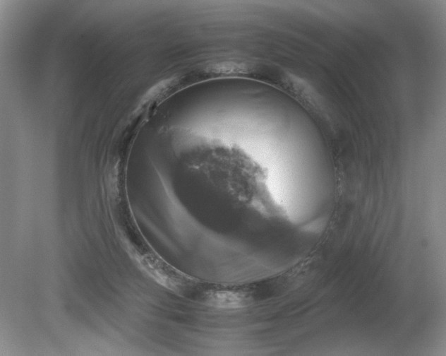 X0000081570163200701221102