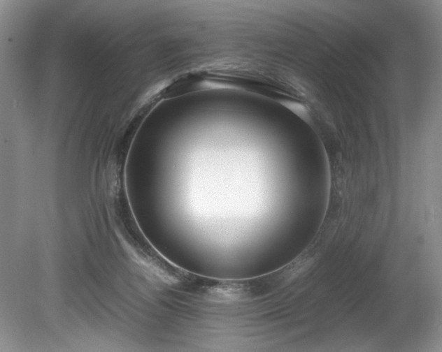 X0000081570164200701221102