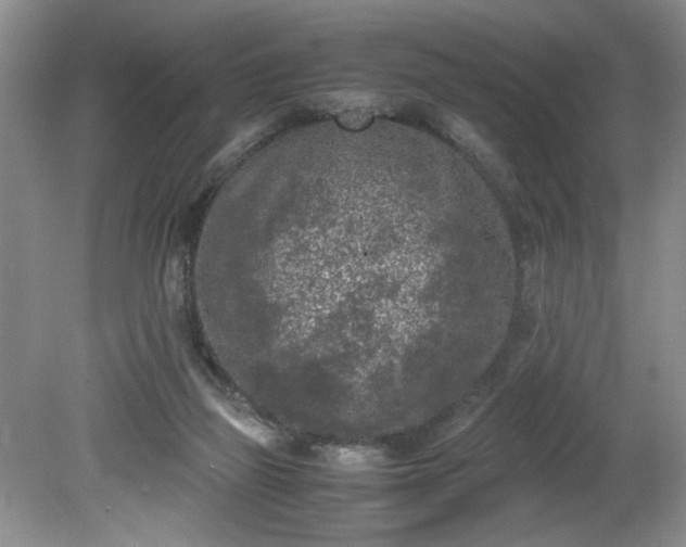 X0000081570165200701221102