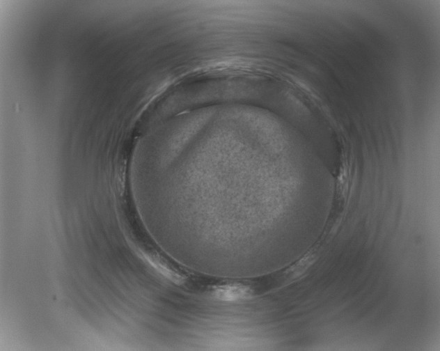 X0000081570168200701221102