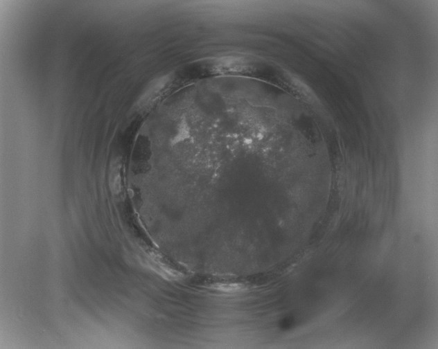 X0000081570169200701221102