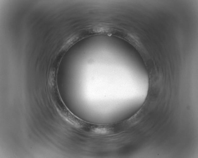 X0000081570171200701221102