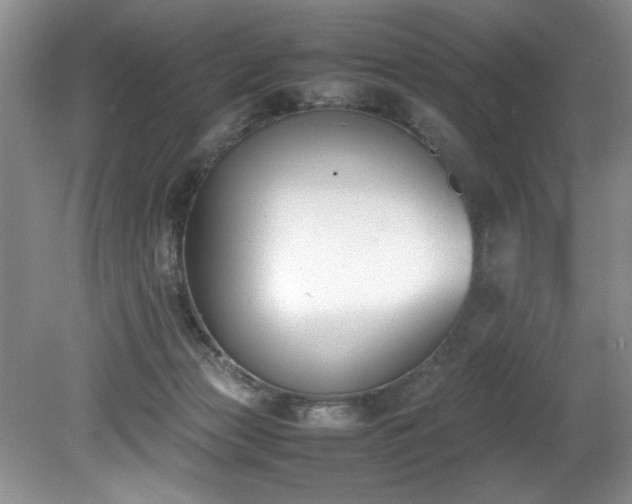 X0000081570173200701221102