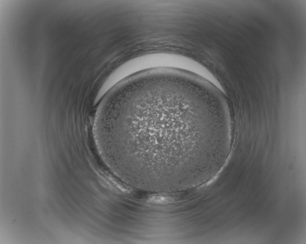 X0000081570174200701221102