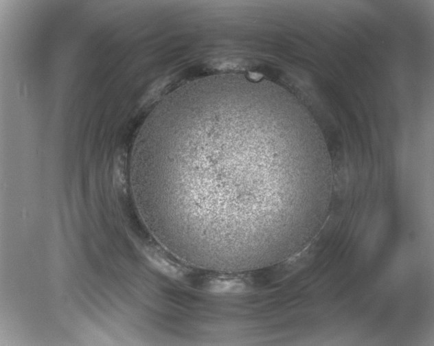 X0000081570175200701221102