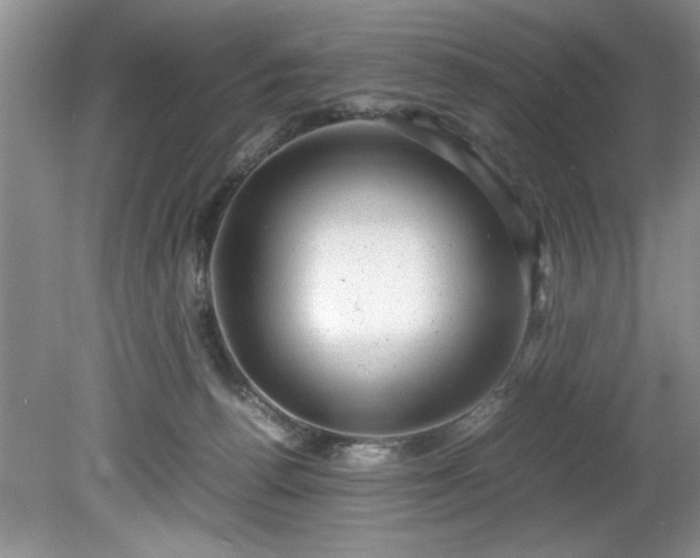 X0000081570176200701221102