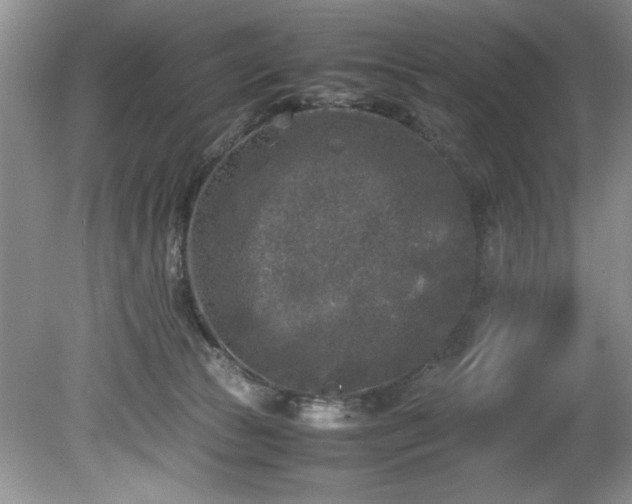 X0000081570177200701221102