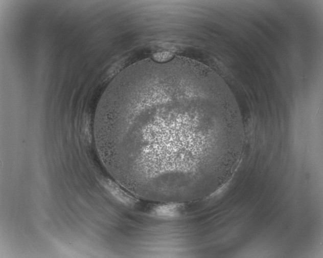 X0000081570178200701221102