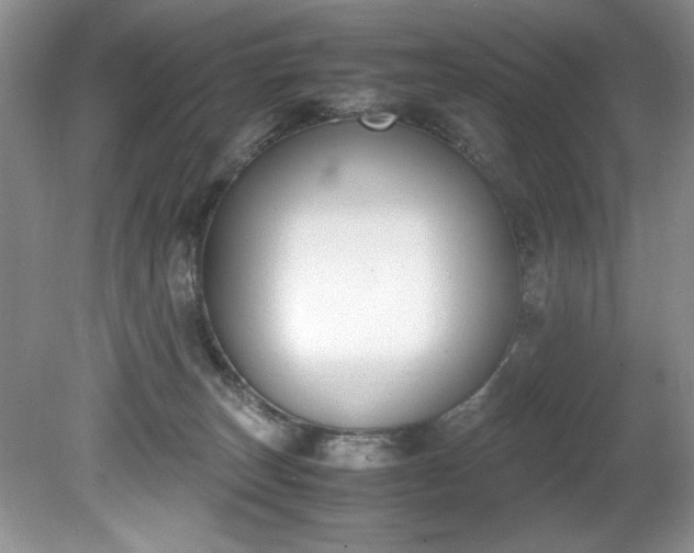 X0000081570179200701221102