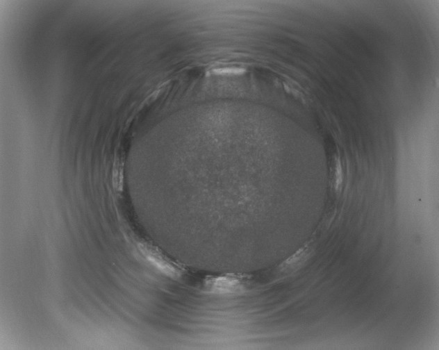 X0000081570180200701221102