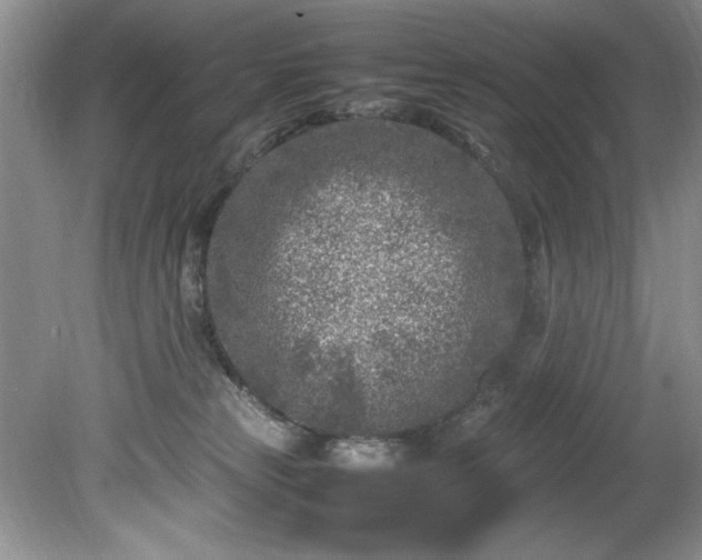 X0000081570181200701221102