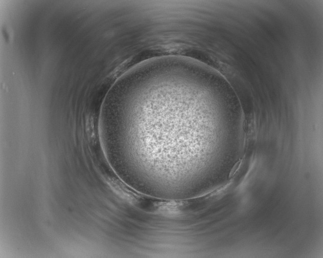 X0000081570182200701221102