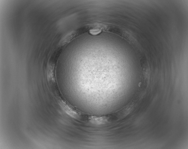 X0000081570185200701221102