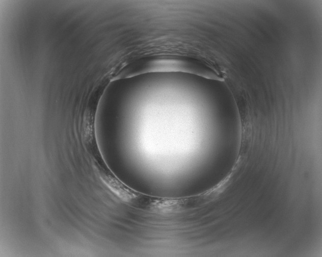 X0000081570186200701221102