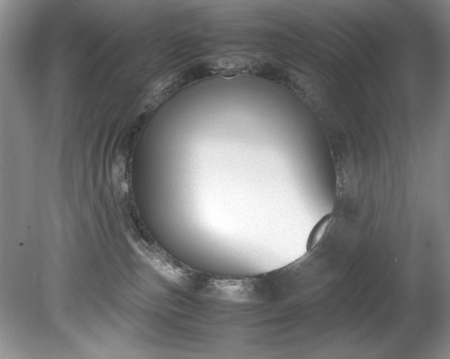 X0000081570187200701221102