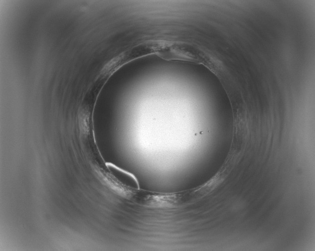 X0000081570188200701221102