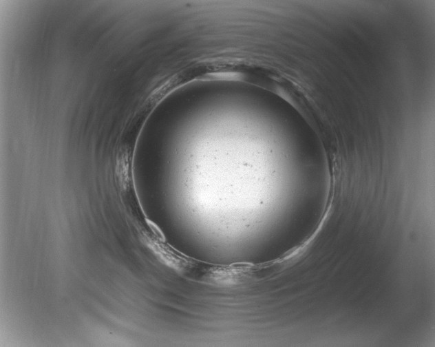 X0000081570190200701221102