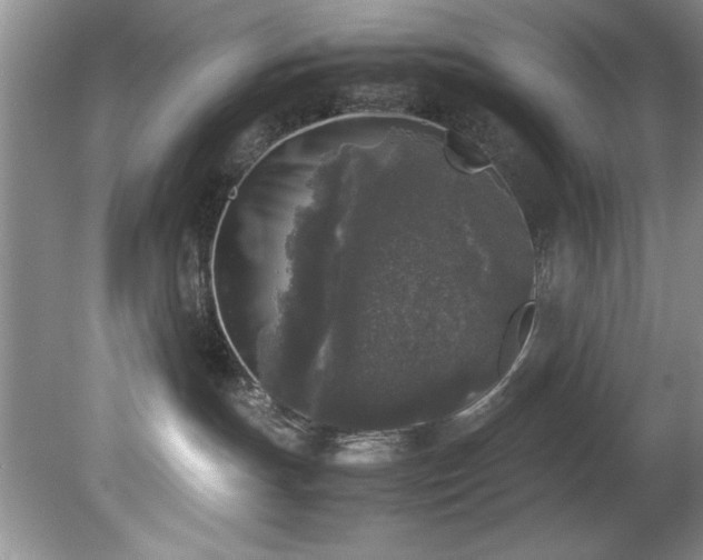 X0000081570191200701221102