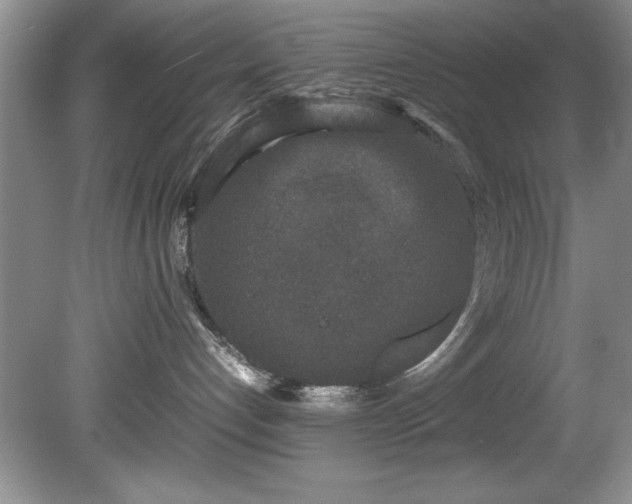 X0000081570192200701221102