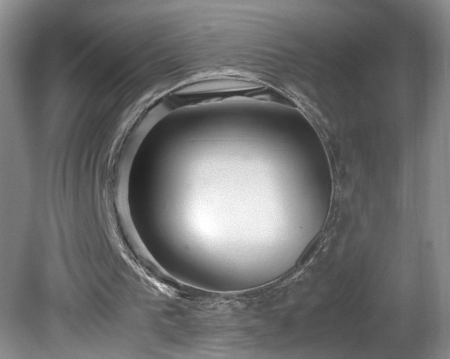 X0000081570193200701221101