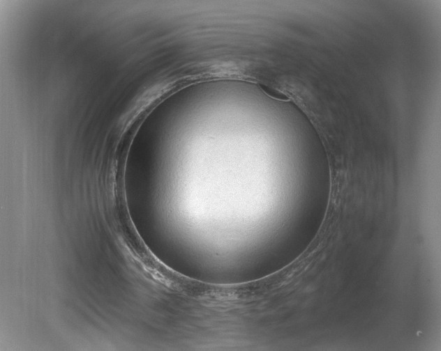 X0000081570194200701221101