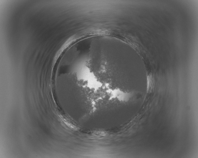 X0000081570195200701221101