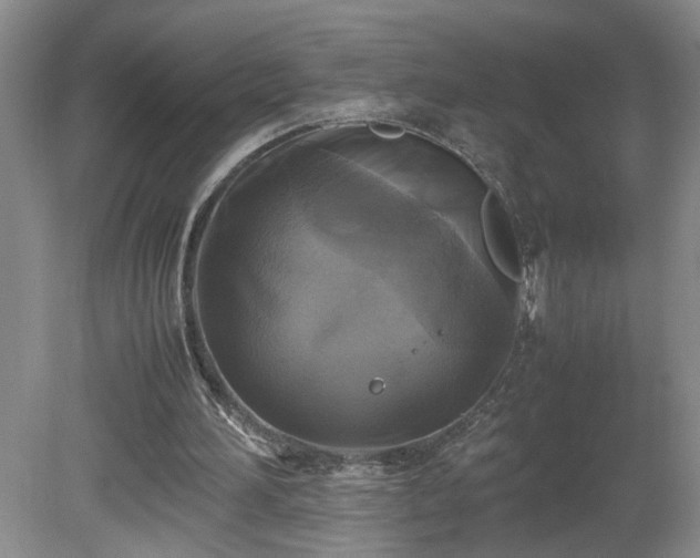 X0000081570196200701221101