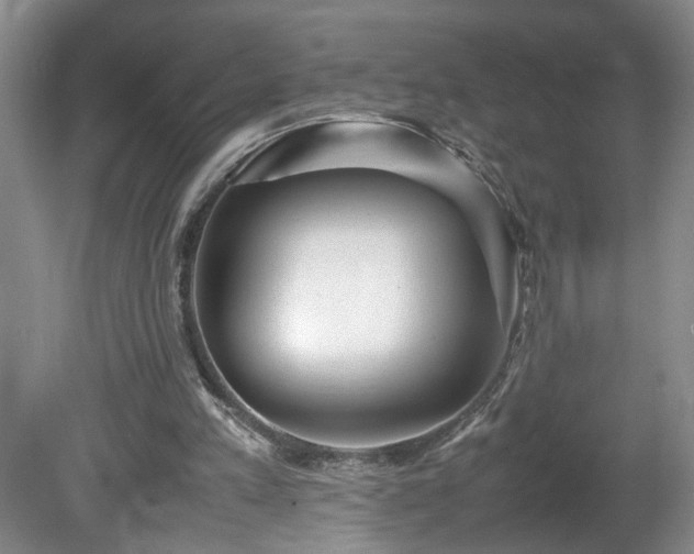 X0000081570197200701221101