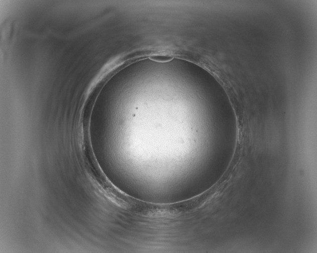 X0000081570198200701221101