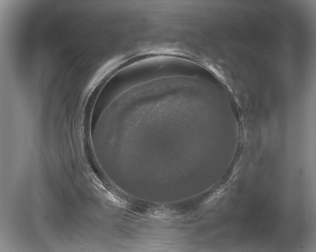 X0000081570199200701221101