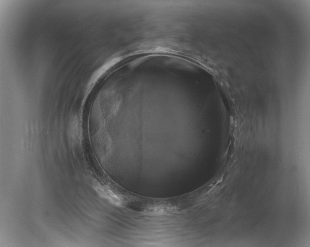 X0000081570200200701221101