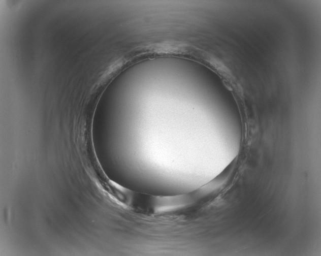 X0000081570201200701221101