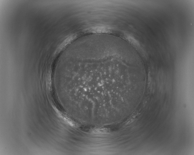 X0000081570202200701221101