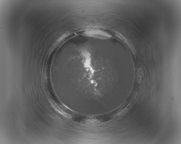 X0000081570203200701221101