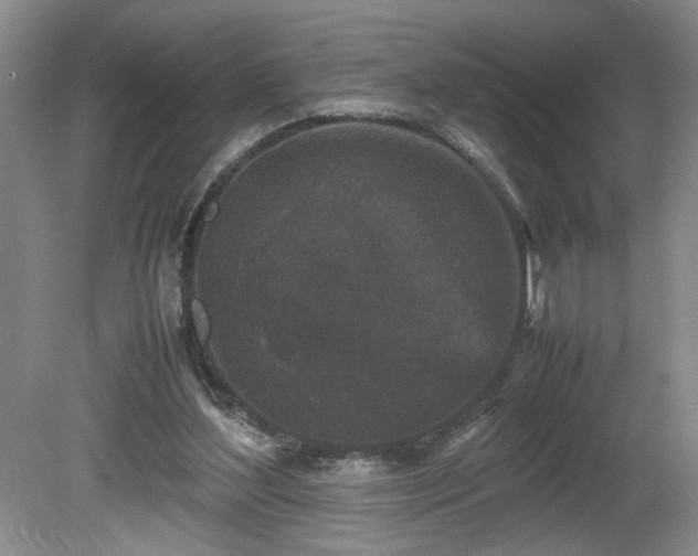 X0000081570204200701221101