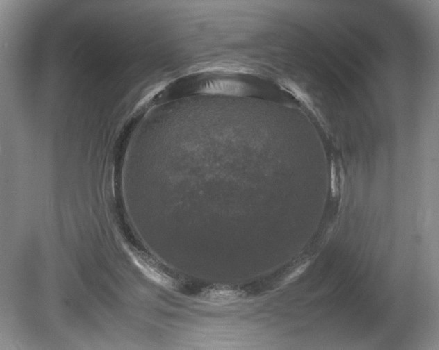 X0000081570205200701221101