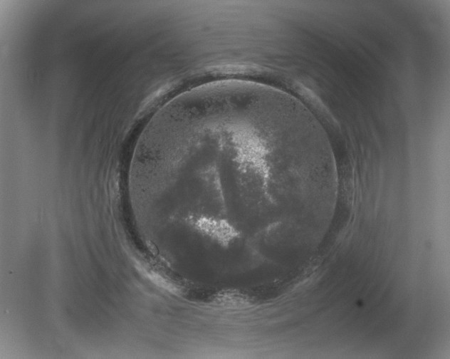 X0000081570207200701221101