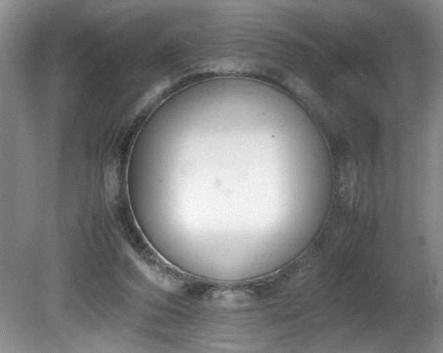 X0000081570208200701221101