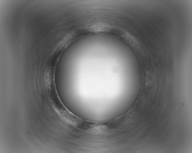 X0000081570210200701221101