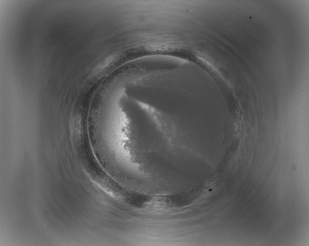 X0000081570211200701221101