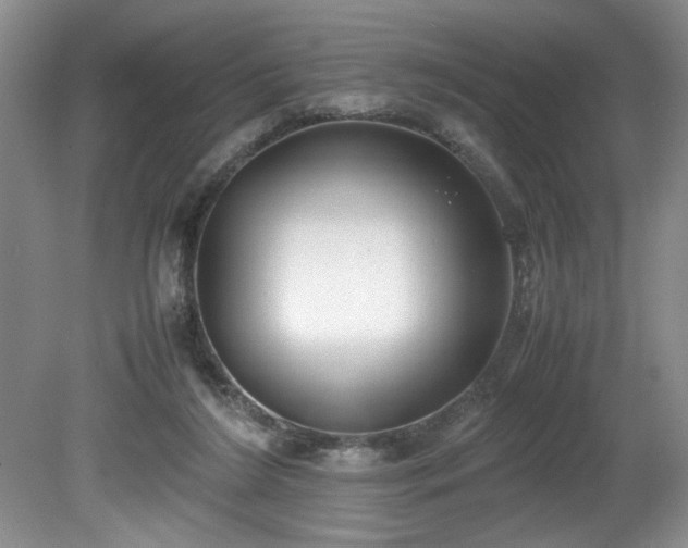 X0000081570212200701221101