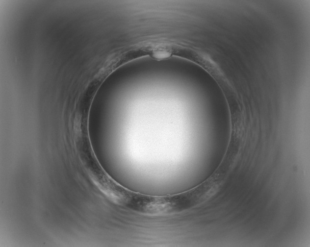 X0000081570213200701221101