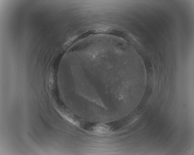 X0000081570215200701221101