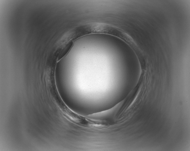 X0000081570217200701221101