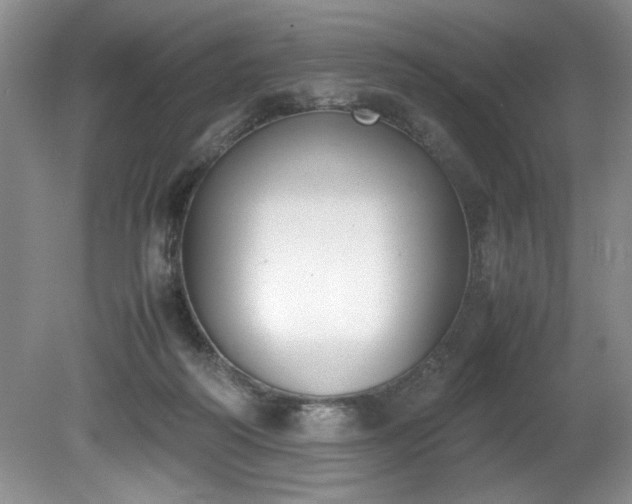 X0000081570218200701221101