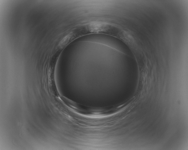 X0000081570219200701221101